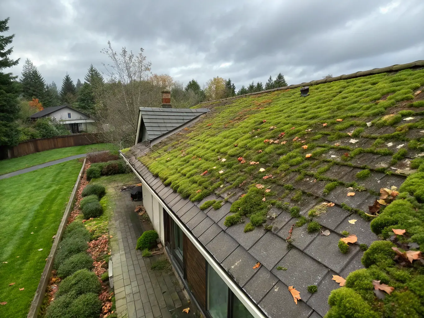 A roof covered in moss and algae before cleaning, emphasizing the importance of roof cleaning for property maintenance.
